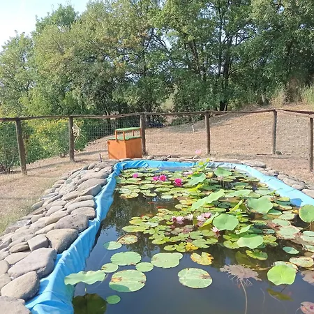 Agriturismo La Coccinella *